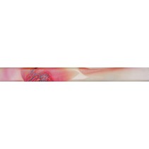 Latina ceramica Irina Listelo Rosa 4